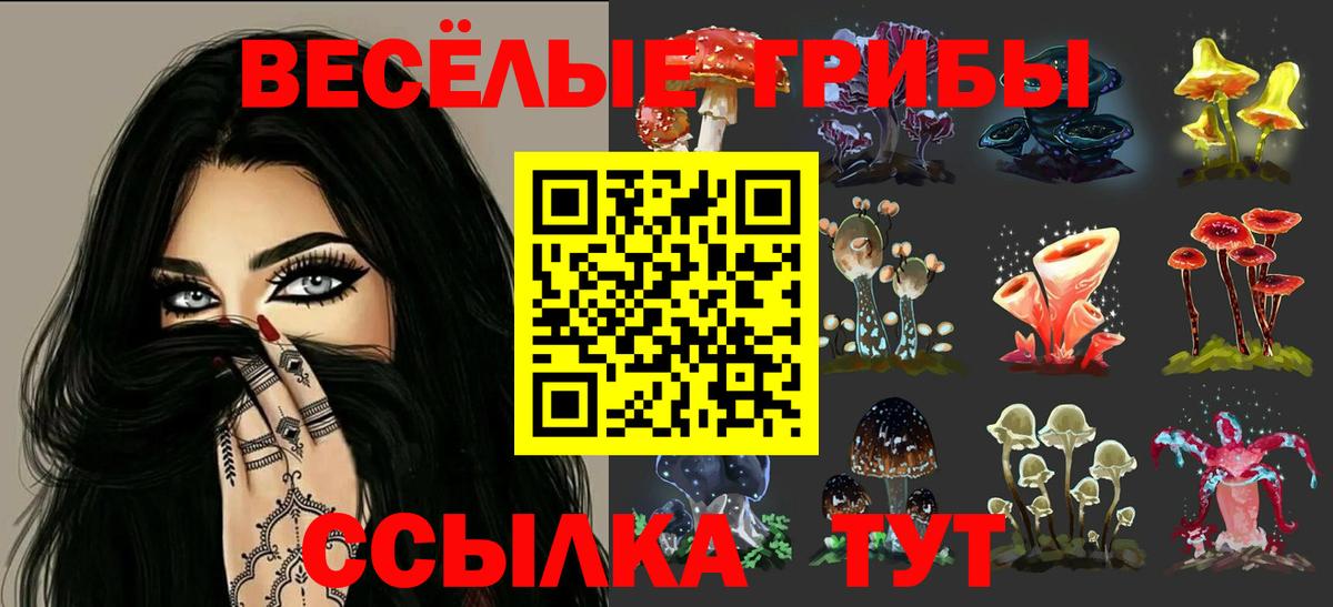 Балашов  Псилоцибиновые грибы MAGIC MUSHROOMS  Псилоцибиновые грибы мухоморы  Вход с VPN 